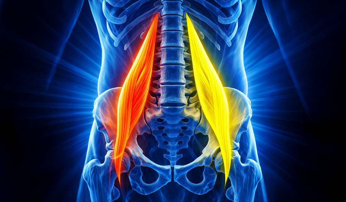 Douleur psoas gauche ou droit : faut-il s’inquiéter ?