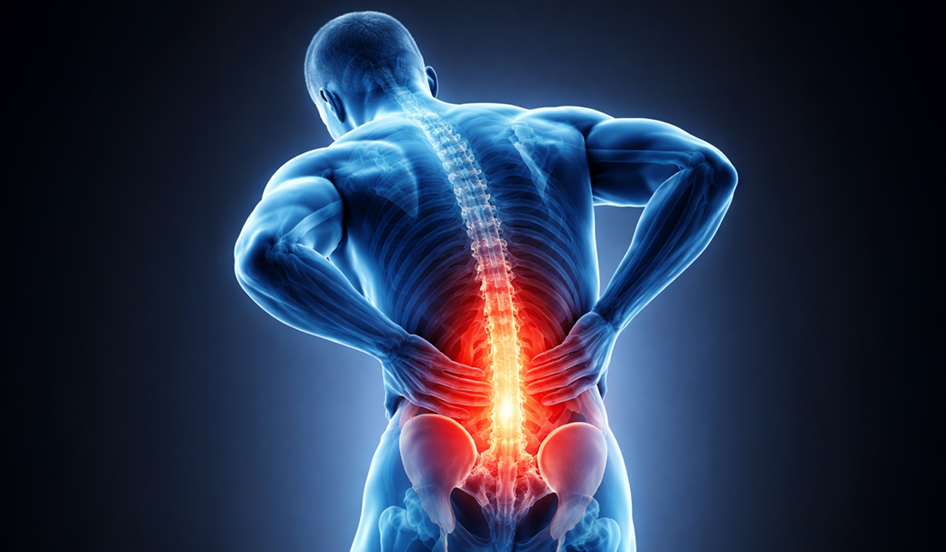 Innervation du psoas : nerfs, douleurs référées et confusions fréquentes
