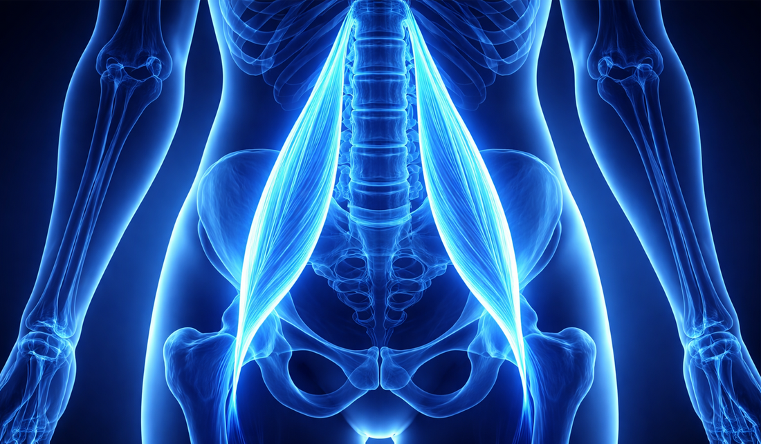 Le psoas est-il un "muscle poubelle" ?