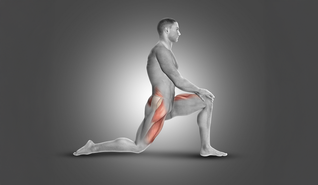 Renforcer le psoas : bonne ou mauvaise idée ?
