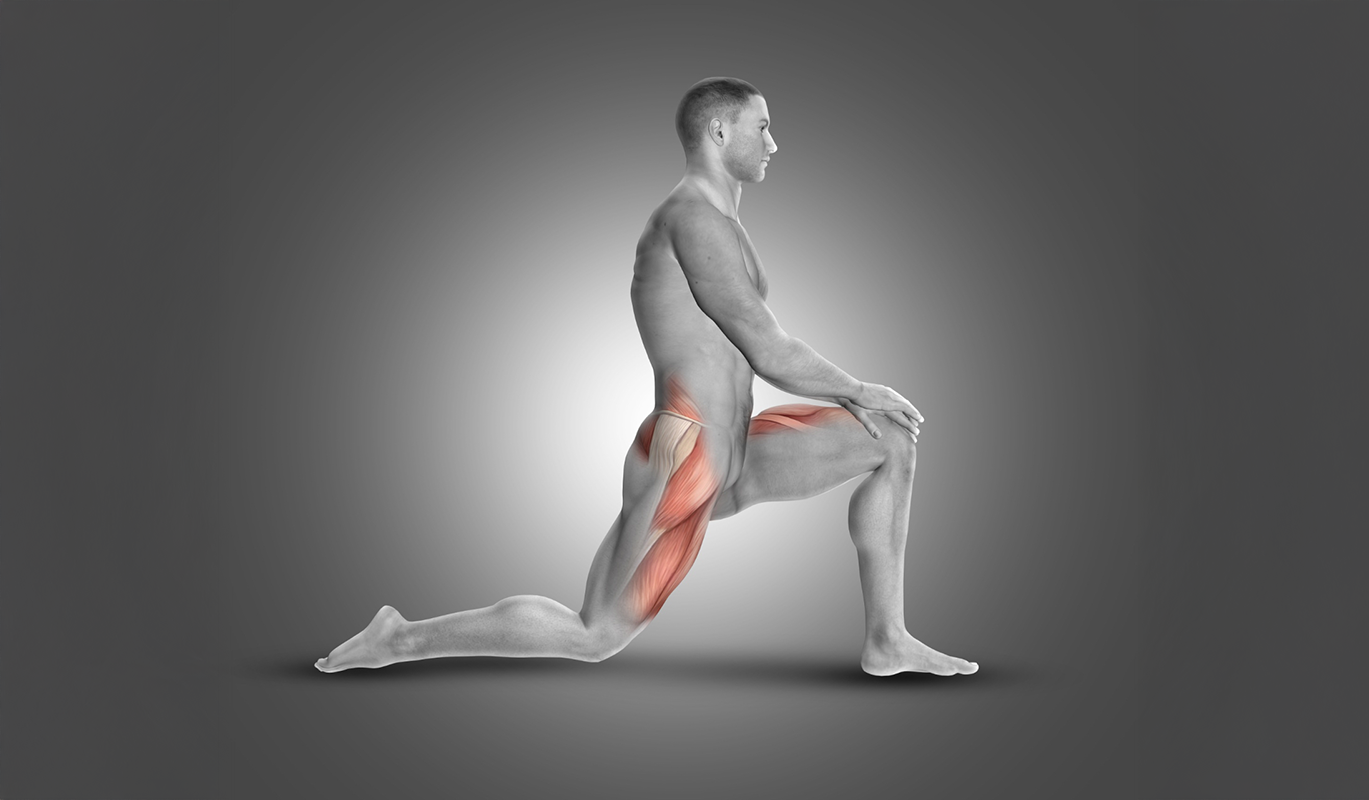 Renforcer le psoas : bonne ou mauvaise idée ?