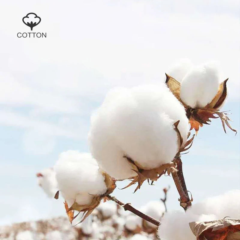 Chaussette barefoot 100% coton