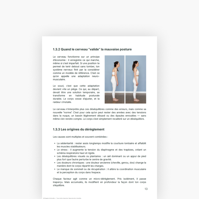 Posture Protocole – 30 jours pour rattraper des années de mauvaise posture - visuel 2