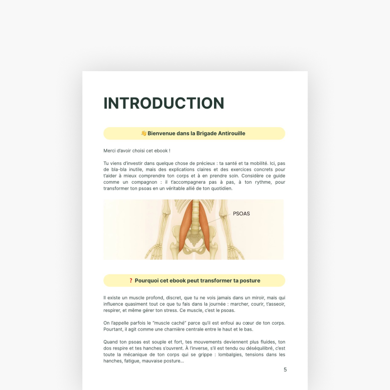 Pack Psoas Reset