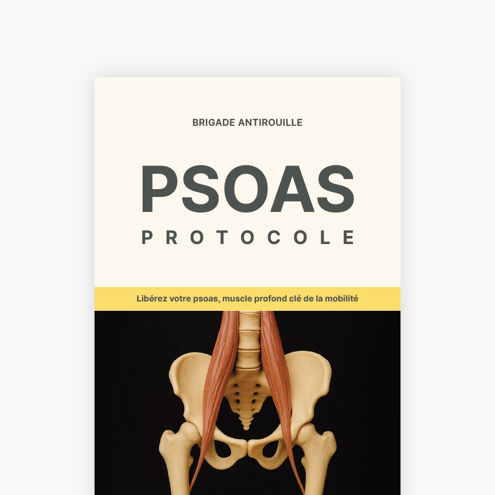 E-Book Psoas Protocole – Libérez votre psoas, muscle profond clé de la mobilité - visuel 1
